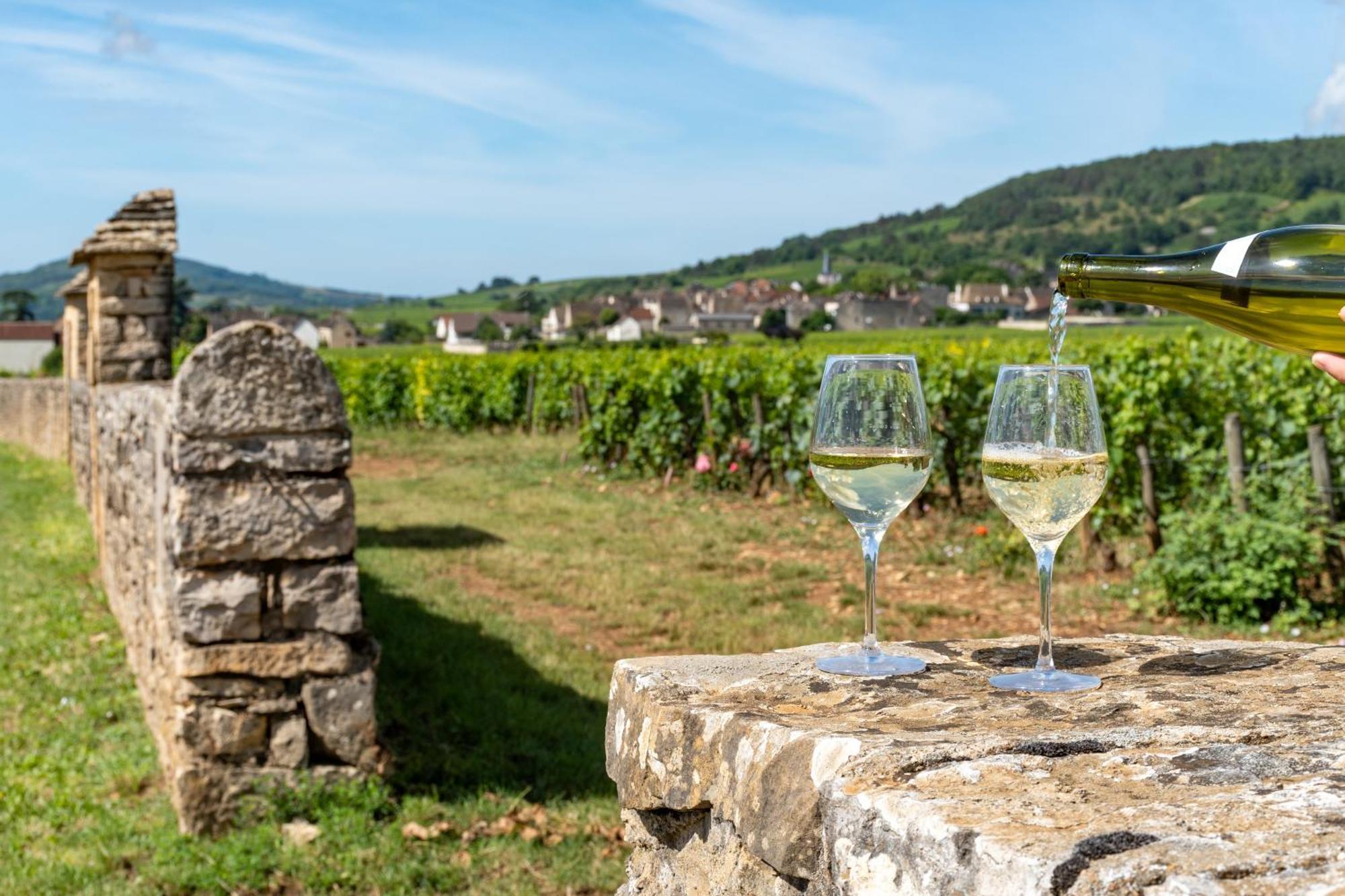 Charmante Maison Climatisee Avec Son Jardin A 5 Minutes De Dijon Saint-Apollinaire  Kültér fotó